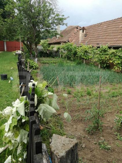 Casa off-grid 5 camere Sangatin judetul Sibiu