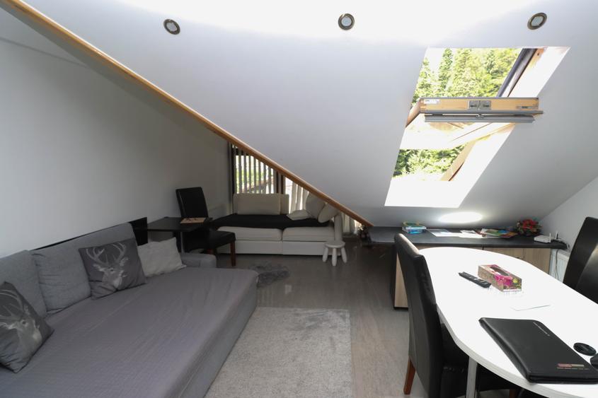 Apartament 2 camere vedere la Bucegi