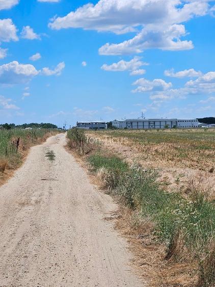 Teren intravilan 1.235 mp – Cârcea, zona Metro p+2+M - 3