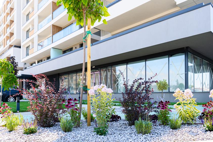 Apartament Studio