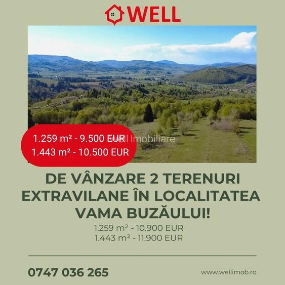 De vânzare 2 terenuri extravilane în localitatea Vama Buzăului!