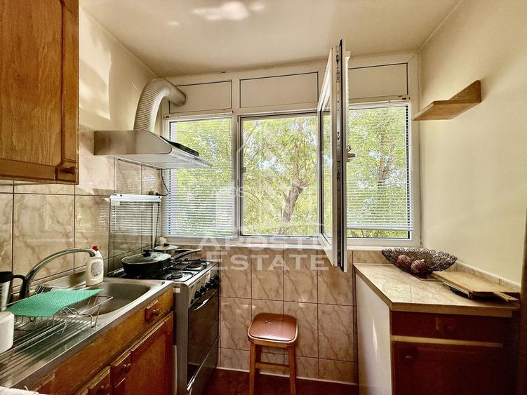 Apartament 3 camere, 2 bai, etaj 1, mobilat, zona Olimpia-Stadion - 13