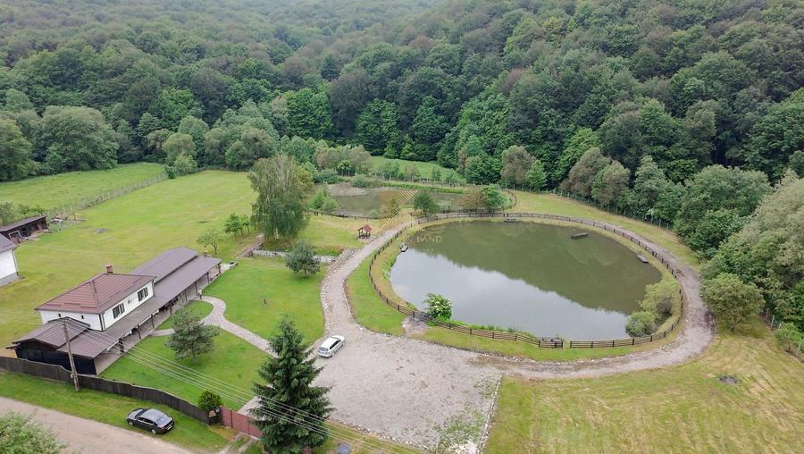 Complex turistic și proprietate deosebită de vânzare în Valea Dobârlău