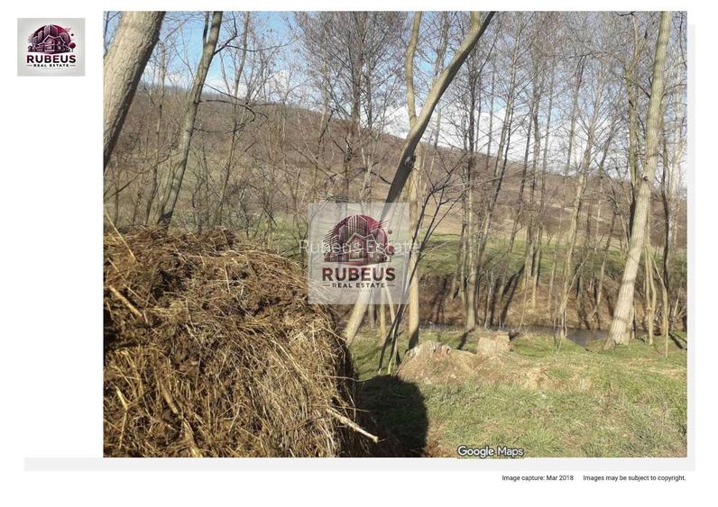 Oportunitate rară! 1 ha pădure Corcova – teren cu potențial real - 5