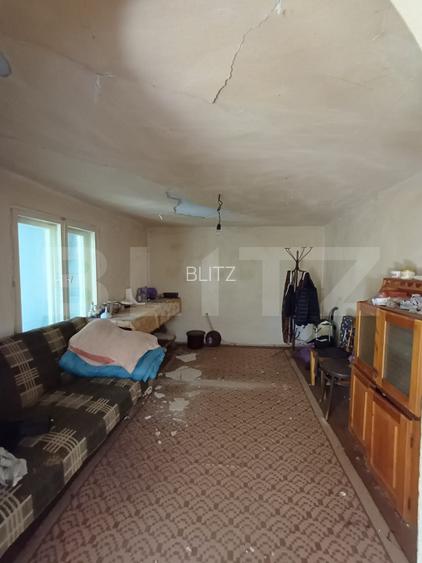 Casa renovabila cu 11508 mp teren, in Copaceni - 19