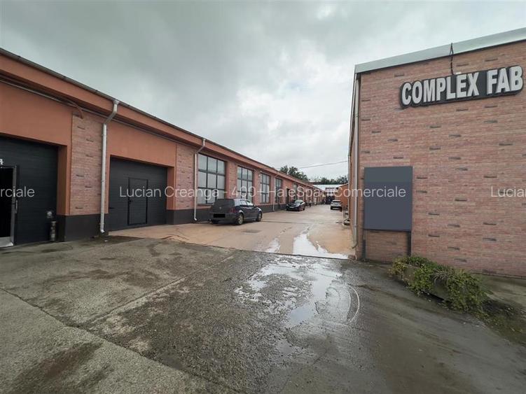 Hale, Iasi, str. Bradului, Gara Internationala, de la 40mp la 1500mp - 12