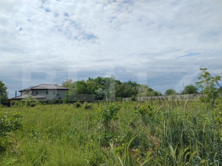 Teren intravilan, 987 mp, deschidere 19,5 m, Mânăstire Cârcea