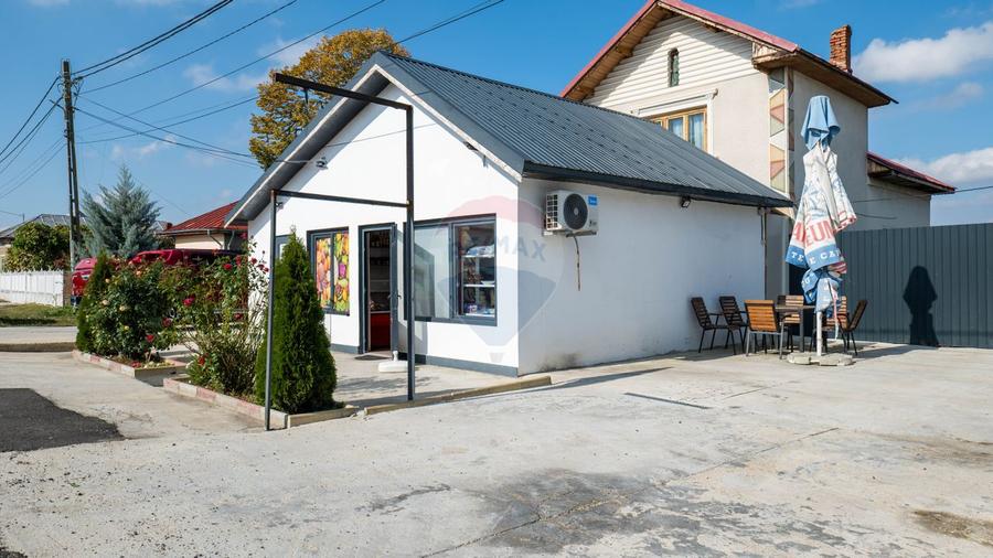 Vanzare vila si spațiu comercial, gradina si garaj-zona Corbii Mari