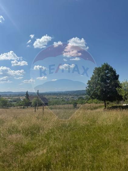 Teren 7,200mp Sighetu Marmatiei / Strada Doboies