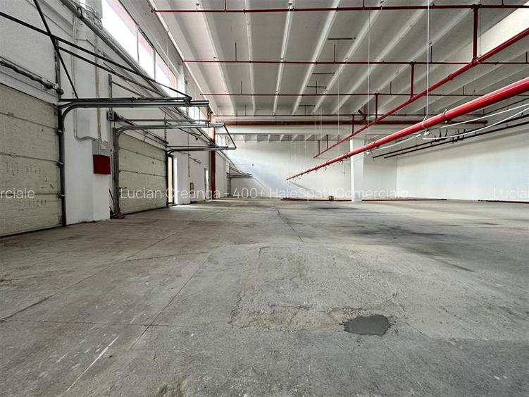 Spatii Egros Calea Chisinaului, depozit productie de la 80mp la 1000mp - 14