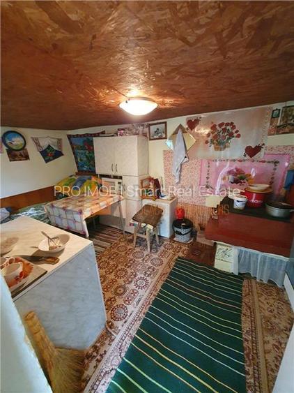 EXCLUSIVITATE! Casa + teren zona Beilic, com. Sageata - 9