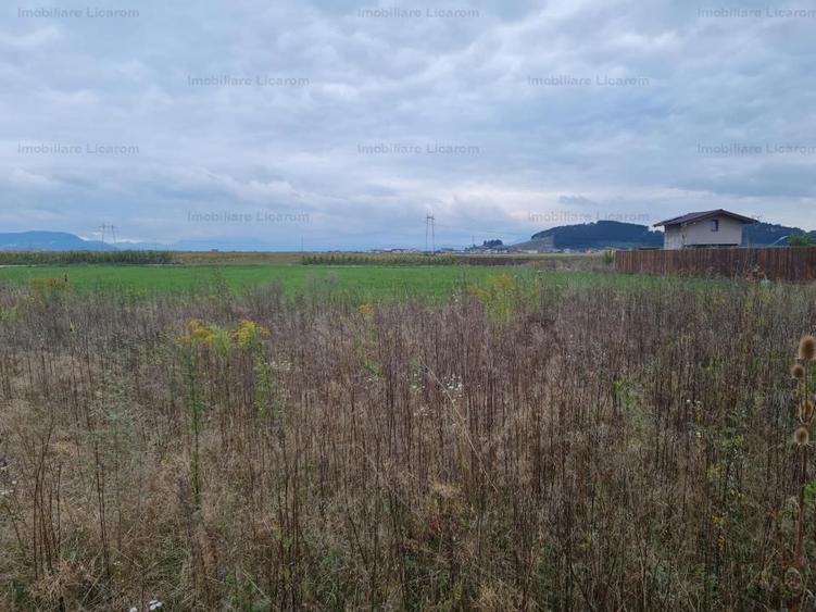 De vanzare teren 502 mp Harman Aleea 14 pret 40000 euro