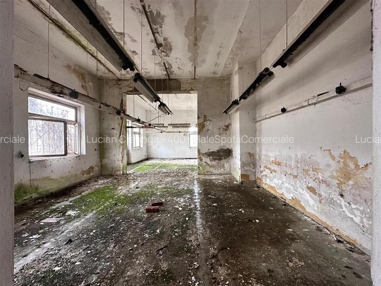 Hala, spatiu comercial, vad, de la 423mp la 1744mp, Vama Albita - 26