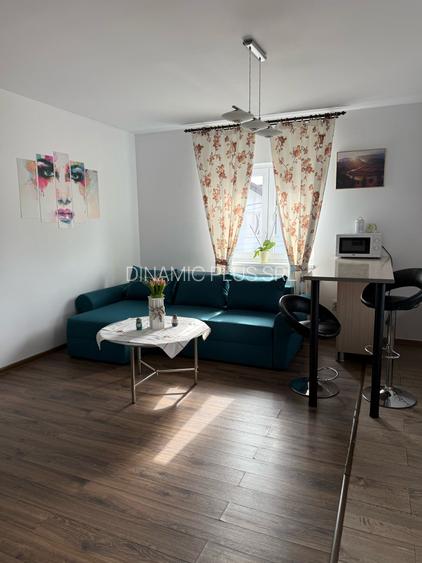 APARTAMENT LUX IN SELIMBAR - 33