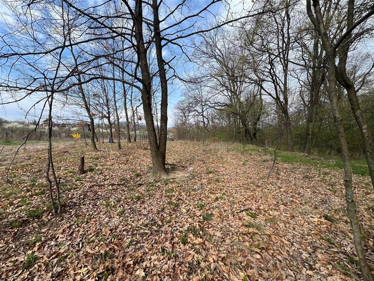 RECO Teren intravilan, loc de casa sau investitie Saldabagiu de Munte