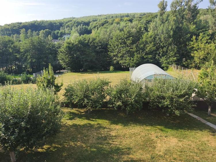 Valea Capriorii | 1127 MP | Intravilan | Front 33 MP