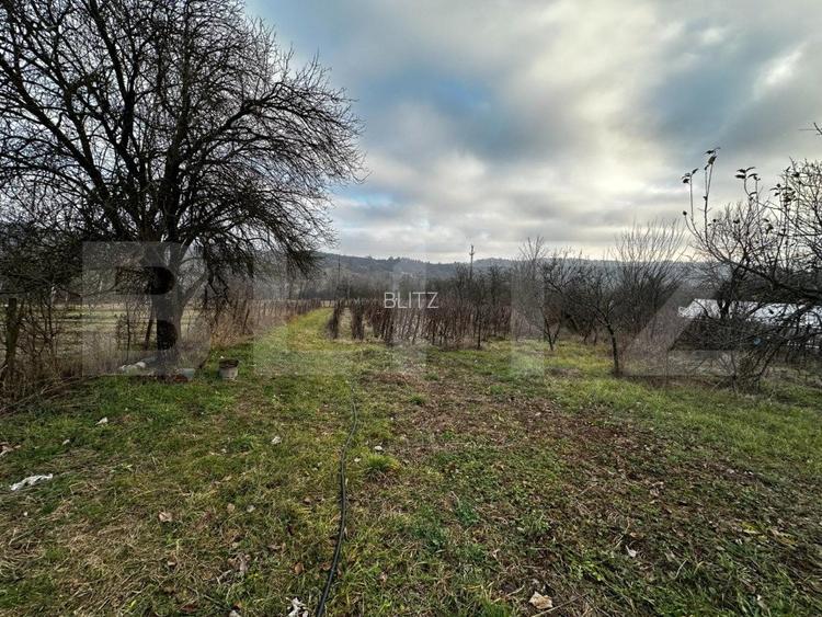 Casa 3 camere, zona Balanesti, teren 2792mp - 4