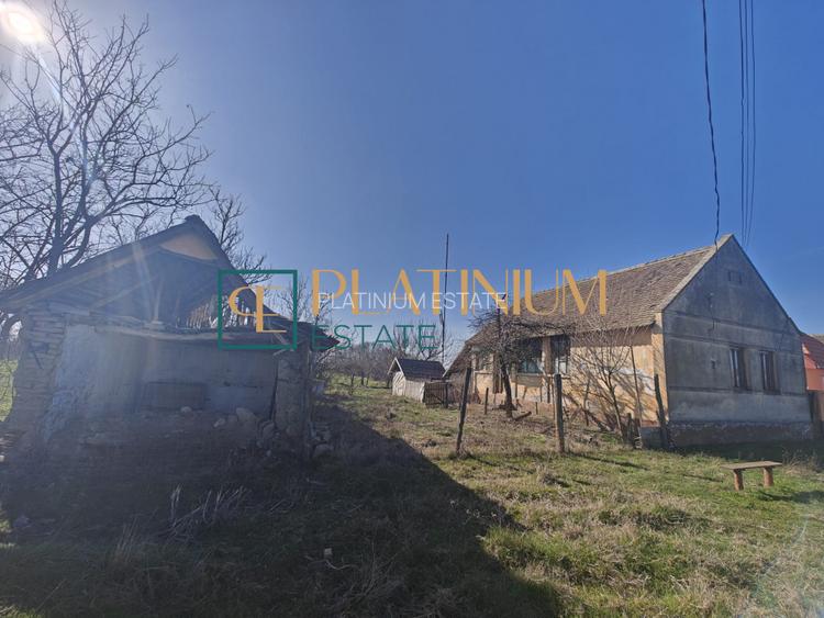 P4858 Casă bătrânească cu teren de 5.003mp, Cebza - 9