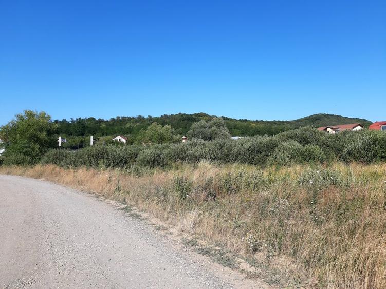 Teren plat, intravilan, zona rezidentiala in Corunca. Ideal pentru investitor