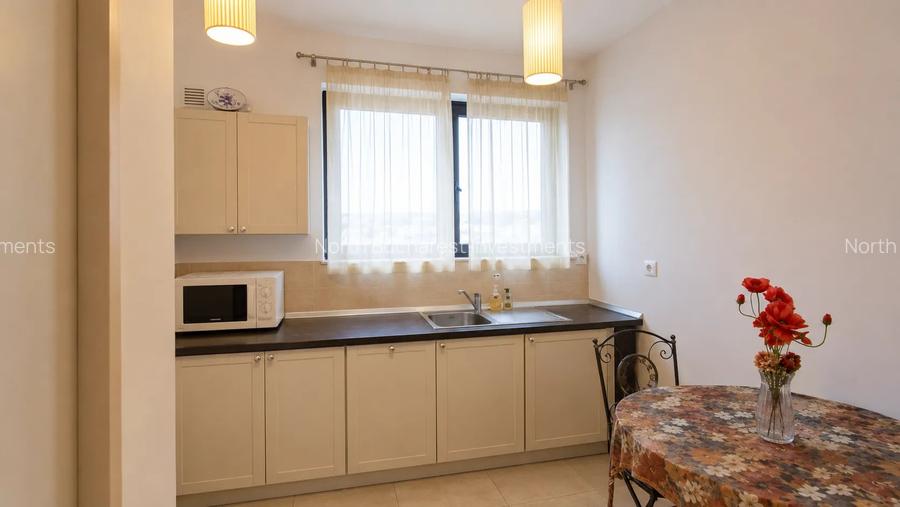APARTAMENT CU 3 CAMERE - PARCUL KISELEFF - 10