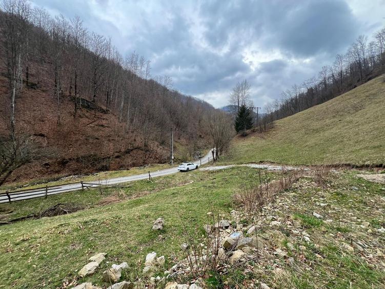 Teren intravilan 1.28ha Remeti–perfect pensiune/cabane, zonă turistica