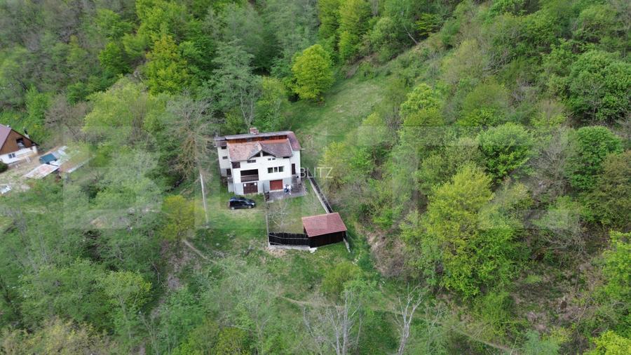 Cabana de poveste în Râmeț | 2000 mp teren + râu pe proprietate | ideală pent - 17