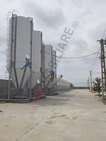 *Fermă modernă export miei | 6 ha | Standarde europene ,Brăila*