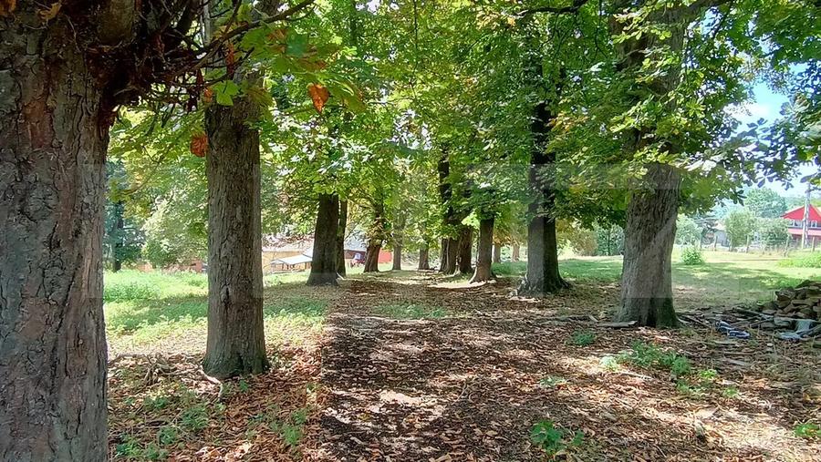 Cabana cu teren intravilan 18.449 mp – Paingeni | 7,5 €/mp | Vedere panoramică