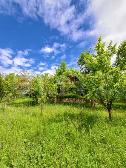 Casa 3 camere si teren 4873 mp  în Pietroasa, Moldovenești - 16