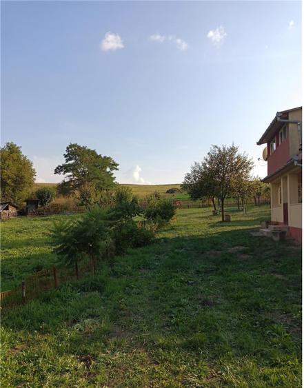 Teren 11.600 mp intravilan, cu casă și utilități pe proprietate – Câmpenești