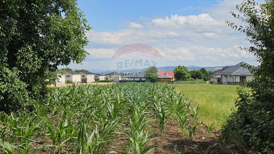 Casă / Vilă, teren 1700mp,  în Lisaura-Ipotești, Suceava - 35