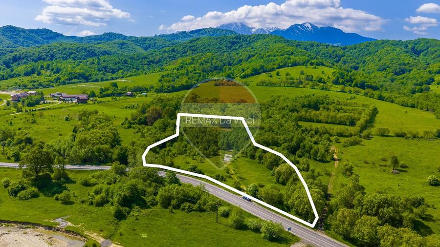 Teren 1ha Valea Glăjeriei - Rasnov | Comision 0% - 2