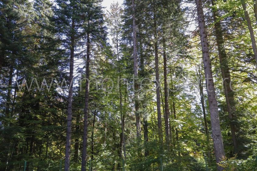 Sinaia, Furnica, apartament cu 2 camere in imobil nou!!!