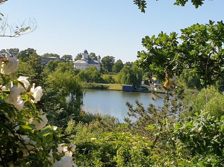 Snagov  Ultimul Refugiu la Lac: Proprietate Rara cu Priveliște de Poveste