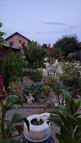 Proprietate Exclusiva de Vanzare in Palazu Mare – 1.412 mp teren - 9