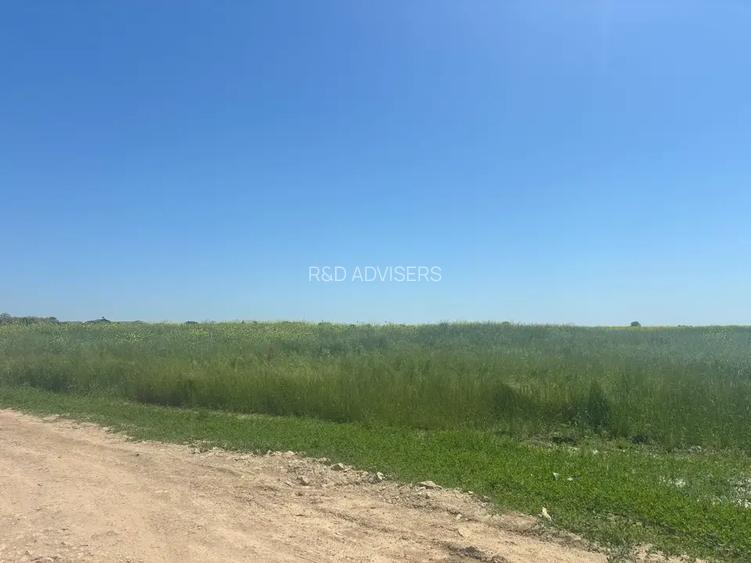 Loturi teren 500 m P+1+M Berceni - Vidra Actele la zi Puz valabil - 10