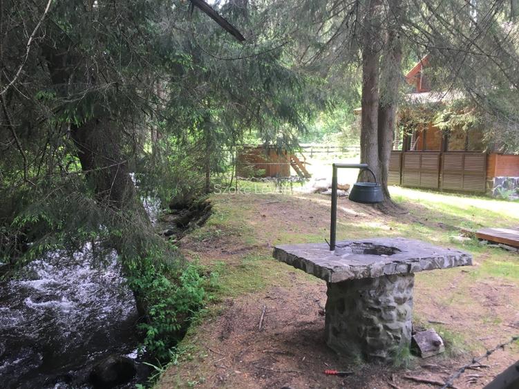 Casa din lemn pe marginea paraului Borzont