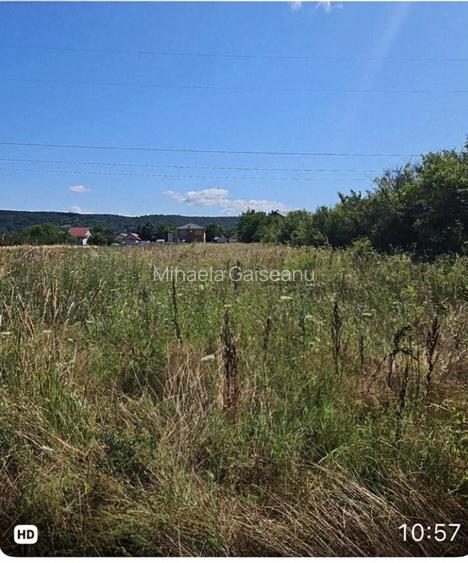 Teren vânzare cu dublu potențial casă și grădină  - 3