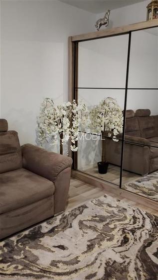 Apartament 1 camera Lunca Cetatuii - Astoria - 3