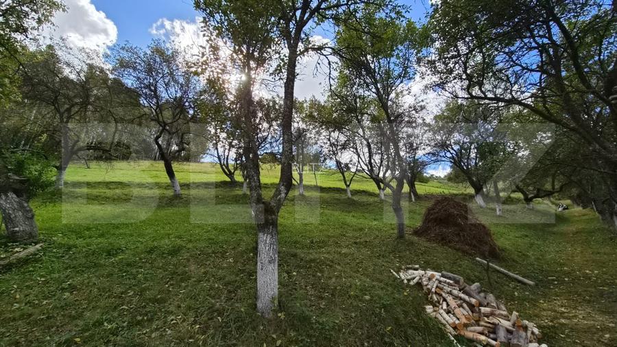 Casa 3 camere, 55 mp, teren 23.000 mp, zona pitoreasca-Poiana Marului - 16
