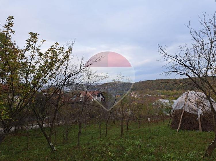 Teren intravilan 3500mp | Cotofenesti, Prahova