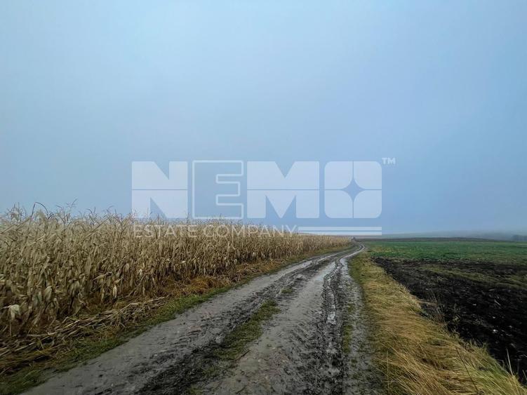 TEREN EXTRAVILAN | DOUA PARCELE 2.84 HA| DARMANESTI