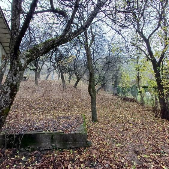Casa de vanzare ,teren 4000mp, Prundu Bargaului