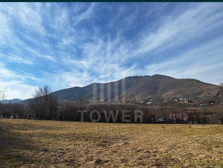 Teren intravilan 2.295 mp, deschidere 60 m – Rășinari, comision 0%