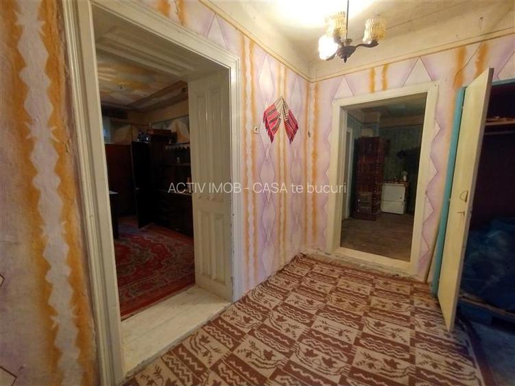 Bogodint, Casa cu 4 Hectare Teren, Pret Negociabil - 10
