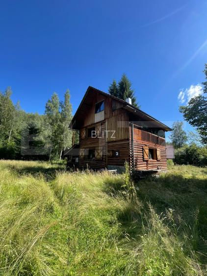 Cabana cu parau si brazi maturi, 1400mp, Valea Fericirii - 3