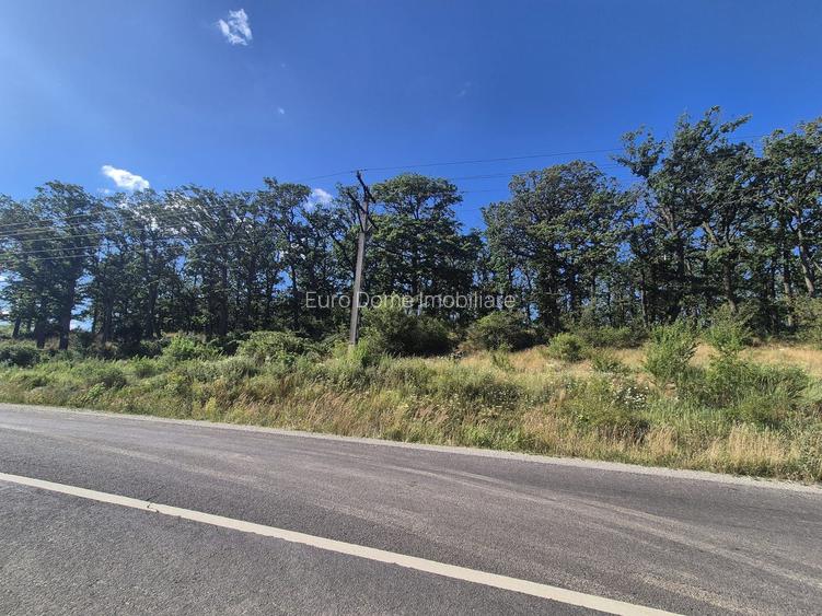 Casă cu grădină în Dumbrăvița – la doar 25 km de Brașov - 21