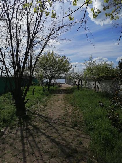 Vila unicat de inchiriat in Mamaia