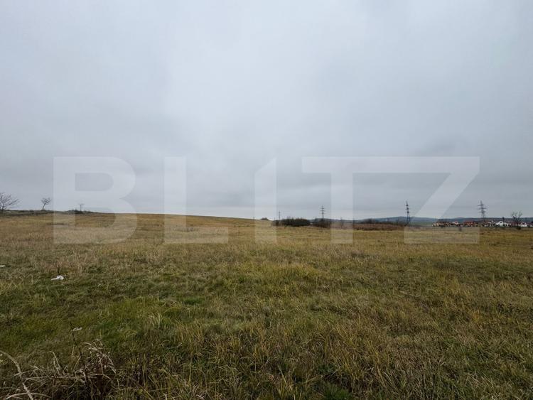 Teren intravilan 7665mp in Pricaz