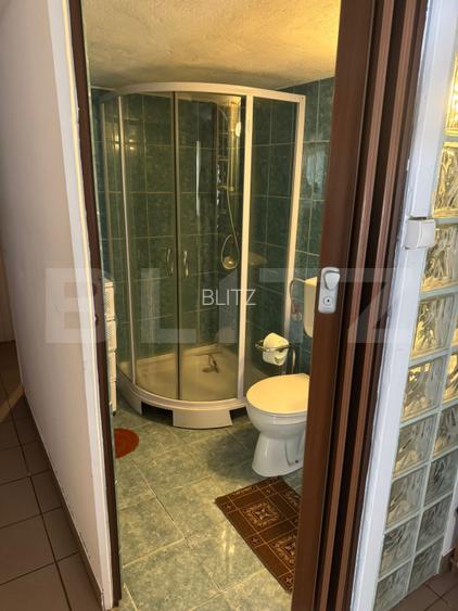 Casă spațioasă 7 camere, 247 mp, curte generoasa, amenajată-zona Dealul Florilor - 16